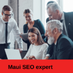 Maui SEO expert