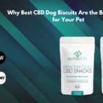 Best CBD Dog Biscuits