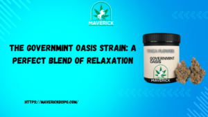 Governmint Oasis Strain