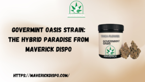 Govermint Oasis Strain