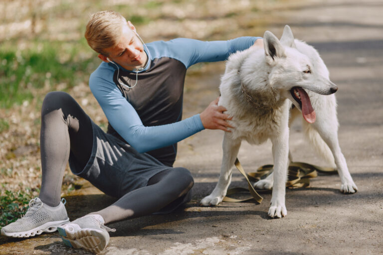 dog obedience training in Tampa