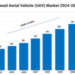 India unmanned aerial vehicle (UAV) market