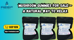 Mushroom Gummies for Sale