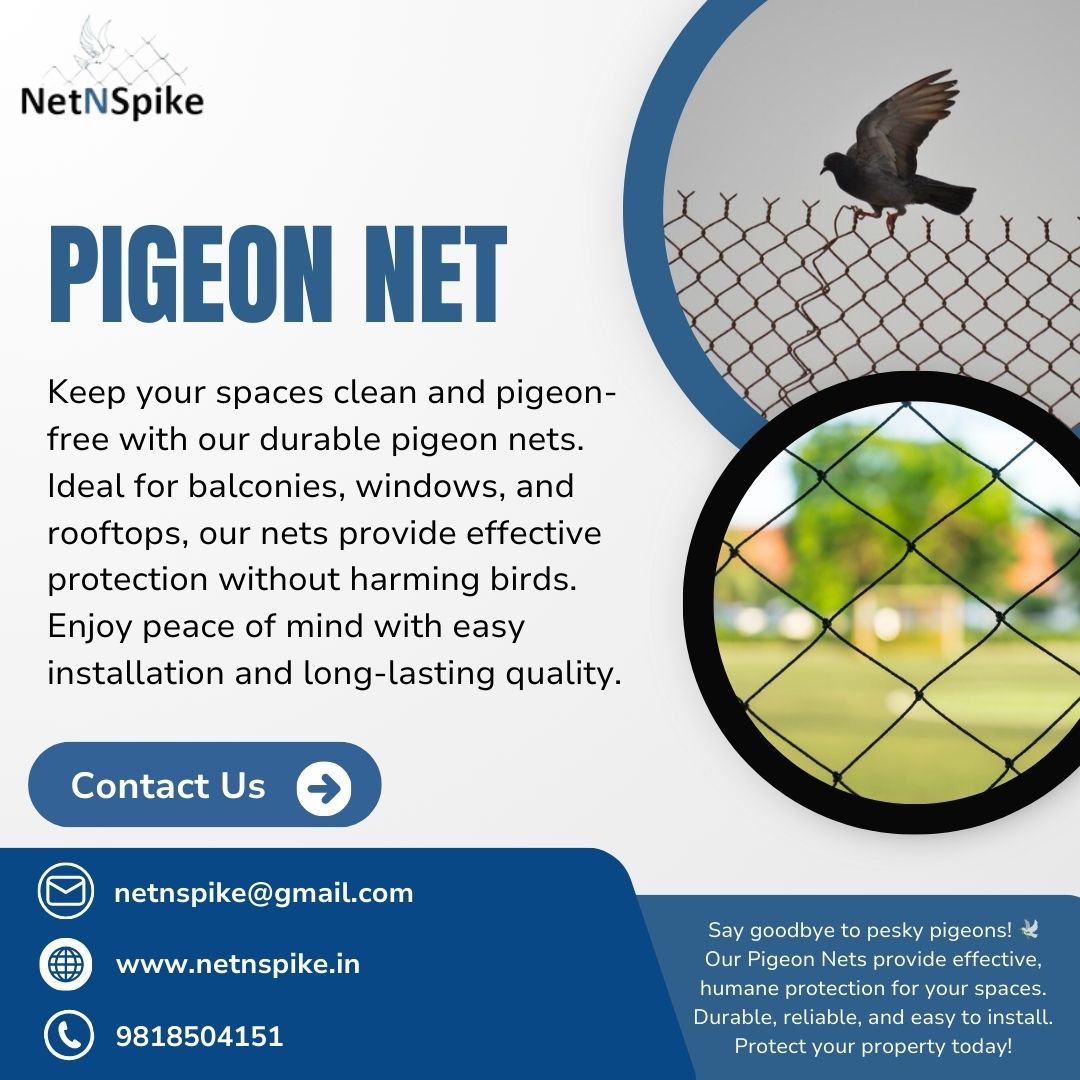 Pigeon Net