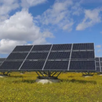 Solar panels installed in a vibrant field of yellow flowers, showcasing a blend of renewable energy and natural beauty.