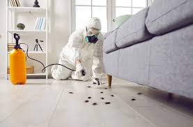 Pest Control Services in Oswego