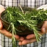 dried rossemary leaves