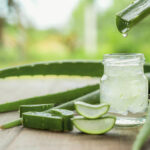 Aloe Vera Processing Plant