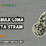 Buy Bulk Loma Prieta Strain