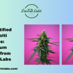 Buy Certified Kompolti Seeds