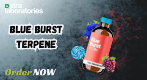 Blue Burst Terpene