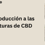 tinturas de CBD