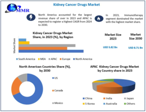 Kidney-Cancer-Drugs-Market-1