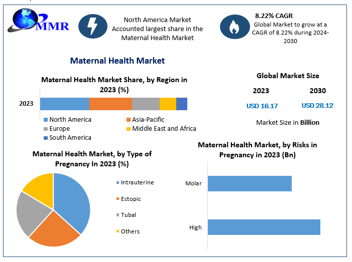 Maternal-Health-Market-1 (7)