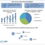 North-America-Fluoroboric-Acid-Industry