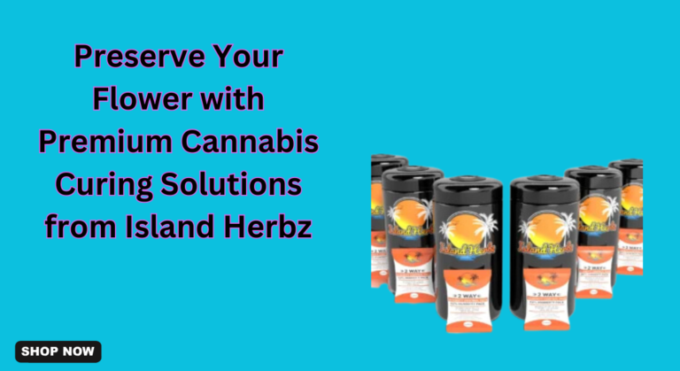 cannabis curing solutions