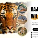 Rajasthan Wildlife