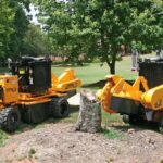 Stump Grinding