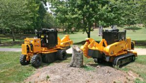 Stump Grinding