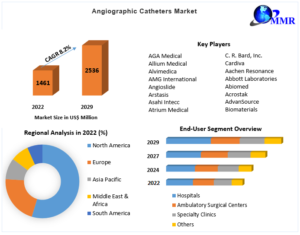 Angiographic Catheters Market