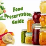 Food Preservatives Market