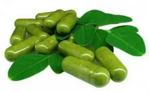 moringa capsules