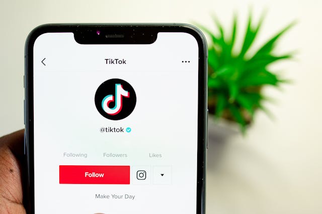 get tiktok followers