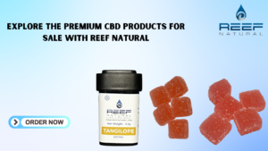 CBD Products for Sale