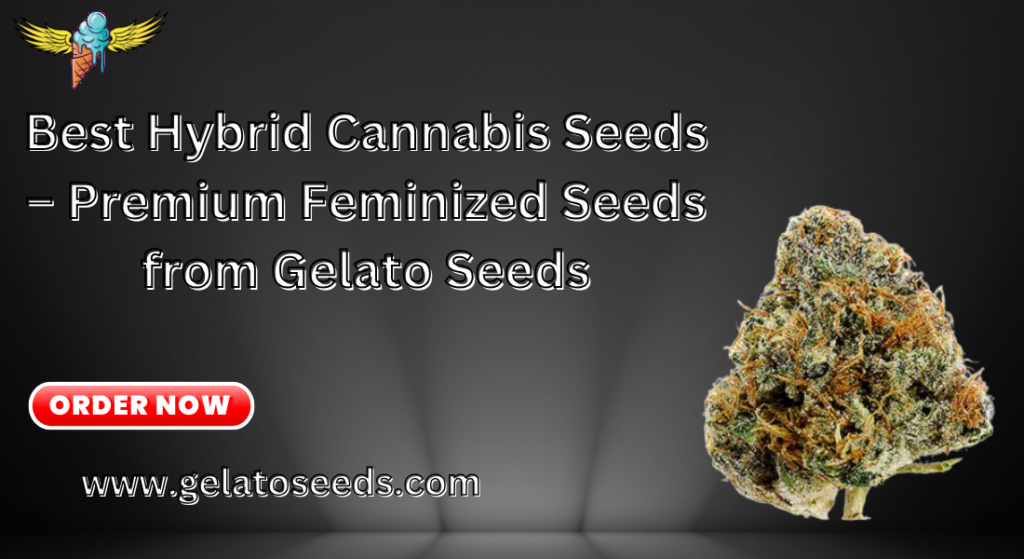 best hybrid cannabis seeds.