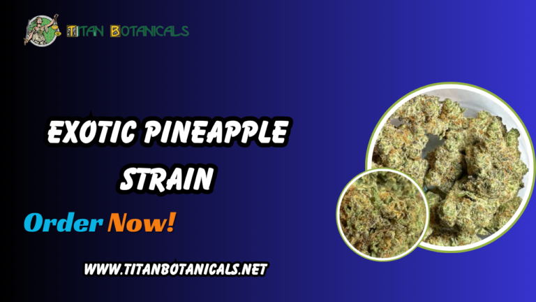 exotic pineapple strain