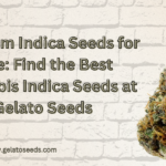 indica seeds