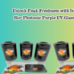 Bio-Photonic Purple UV Glass Jar 3 Pack