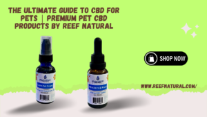 CBD for Pets