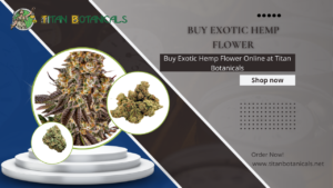 Buy Exotic Hemp Flower