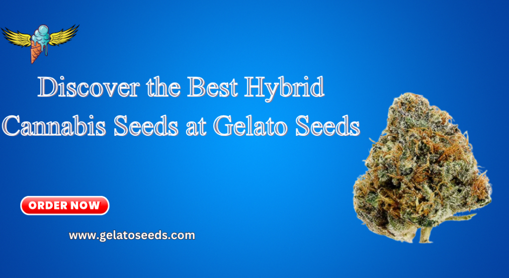 best hybrid cannabis seeds