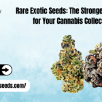 Rare Exotic Seeds