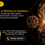 Mandakene numerologist in Ludhiana