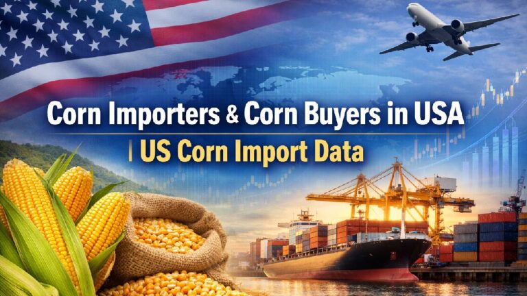 Corn Importers & Corn Buyers in USA _ US Corn Import Data