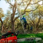 Tree Services in Rhode Island