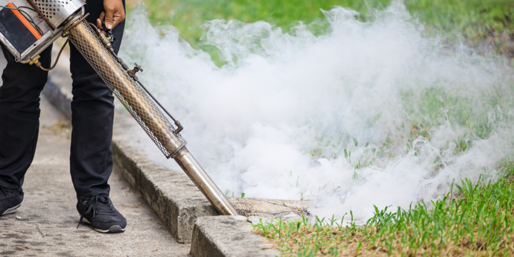 Store-bought ant gels