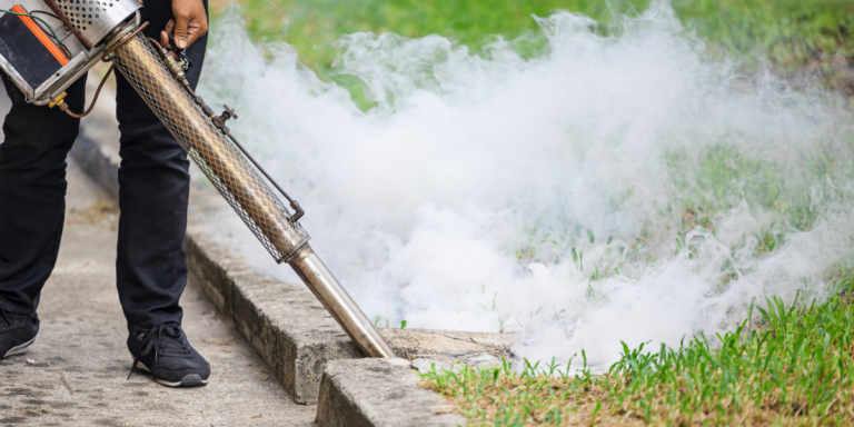 Store-bought ant gels