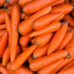 carrot price today