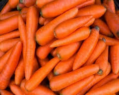 carrot price today