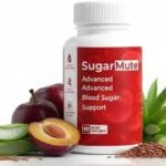 Experience the Thrill: Top Casino Games You Can Play on Reddybook