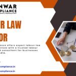 labour law advisor