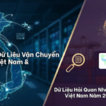 Khám Phá Dữ Liệu Vận Chuyển Việt Nam & Dữ Liệu Hải Quan Nhập Khẩu Việt Nam Năm 2025
