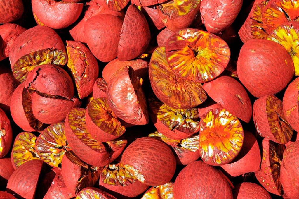 Areca Nut Processing Plant