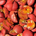 Areca Nut Processing Plant