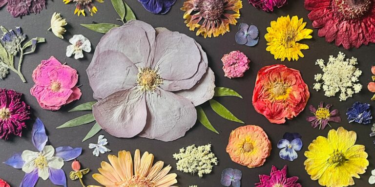 Flora Alchemy Co Banner