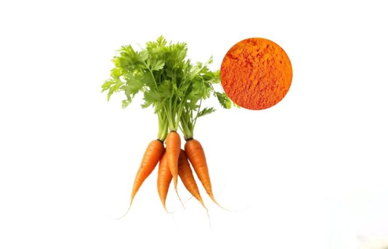Beta Carotene Extraction from Carrot